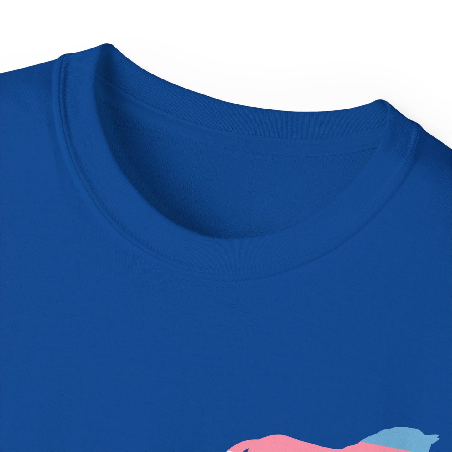Trans Unisex Tee