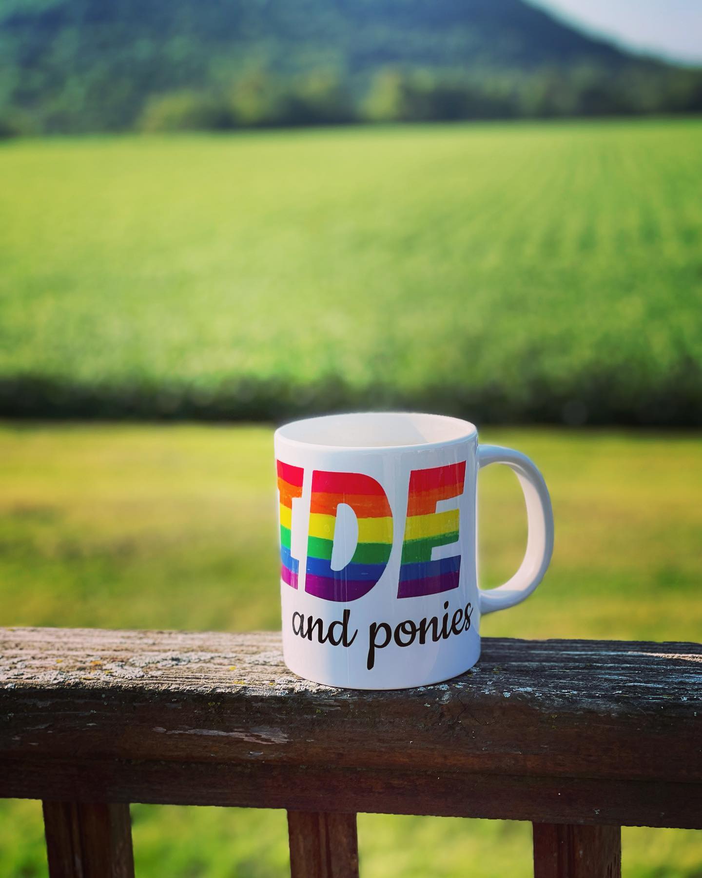 PRIDE and ponies 20oz Mug