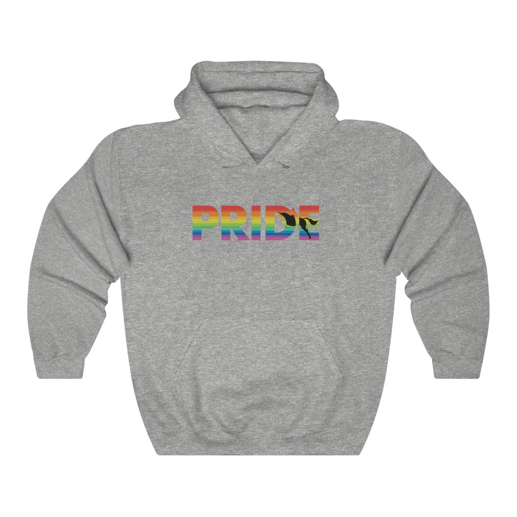 Unisex PRIDE with FLAG Hooded Sweatshirt