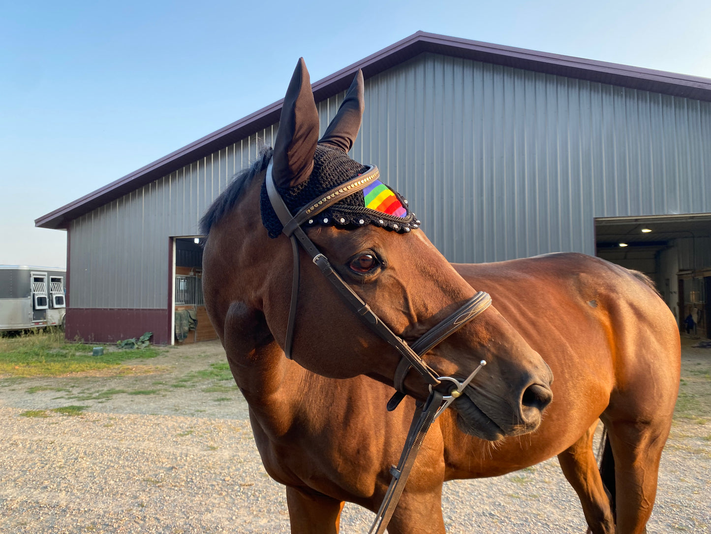 PRIDE Fly Bonnet