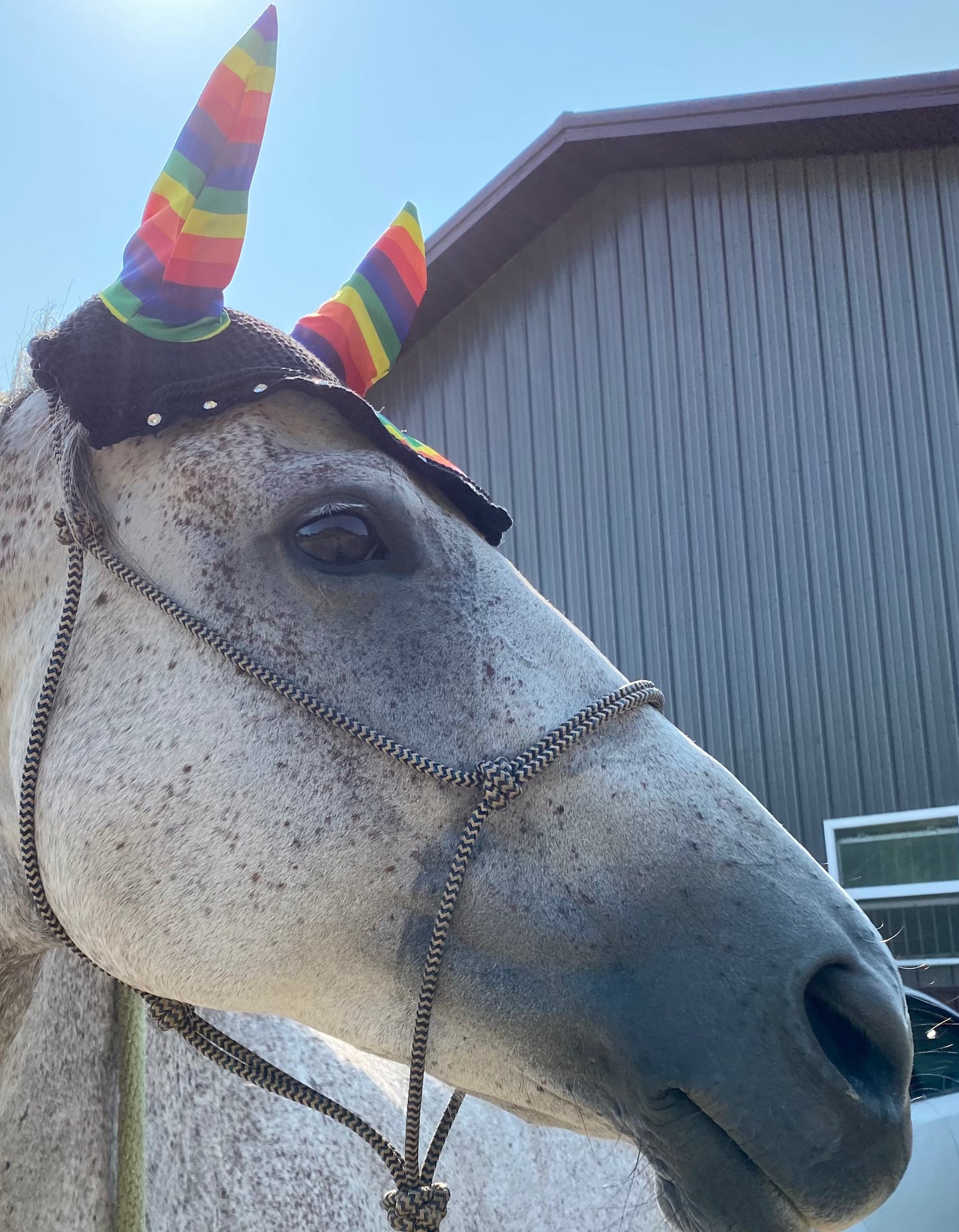 PRIDE Fly Bonnet with Rainbow Ears
