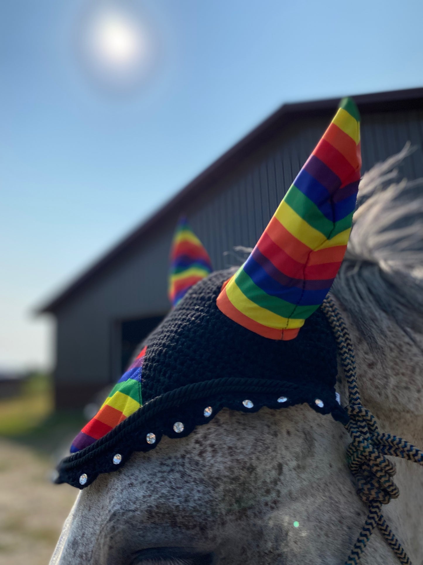 PRIDE Fly Bonnet with Rainbow Ears