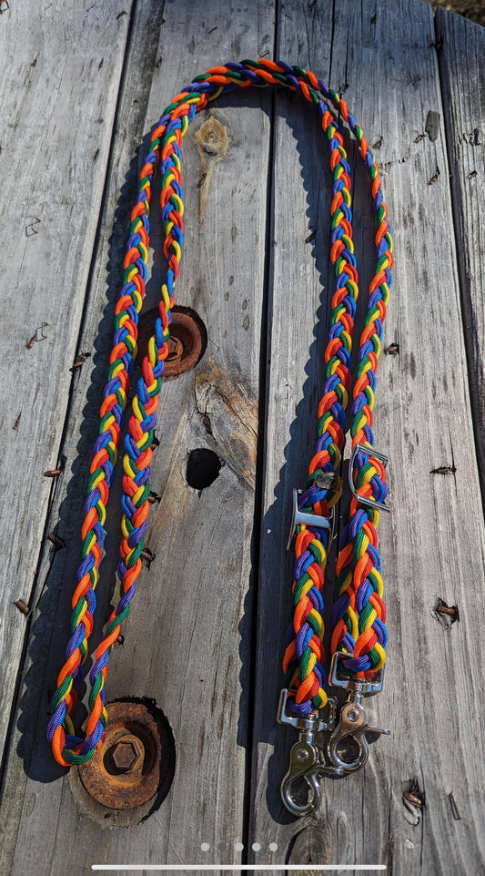 Rainbow Reins