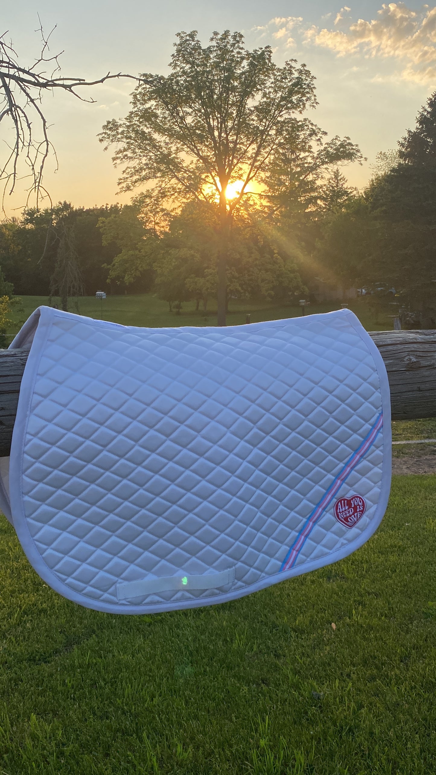 TRANS PRIDE - Love is Love Saddle Pad - White